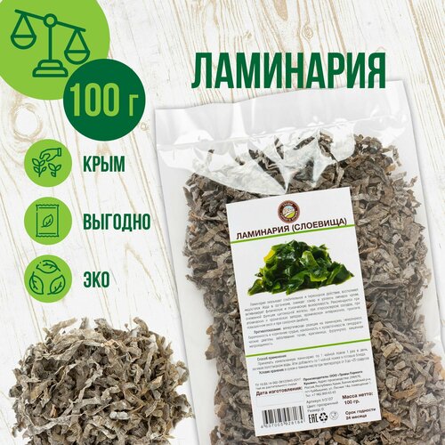 ���� ��������� ������� �������, ��������, 100��, ������ �� 450 ���