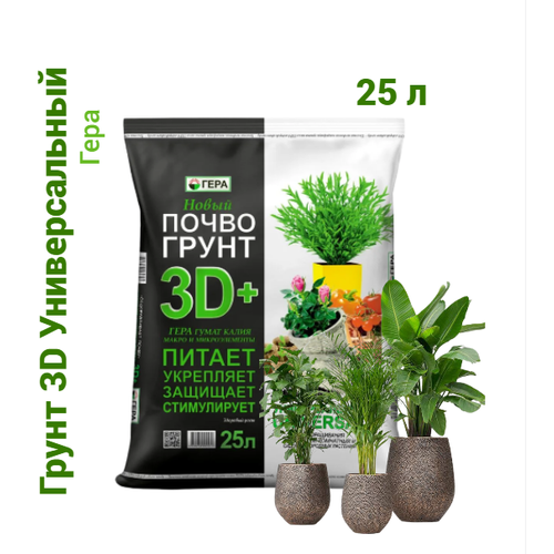 ���� ����� (�����) ������������� ���� 3D+ ��� ��������� �������� � ������ 25 �., ������ �� 522 ���