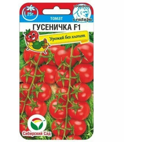 ���� ������ ������� ����� ��������� (1 �������� -15 �� �����), ������ �� 182 ���