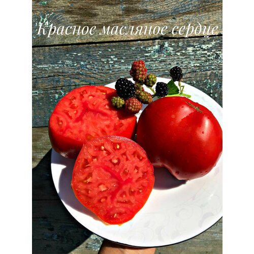 ���� ������������� ������ ������ ������� �������� ������, ������ �� 102 ���