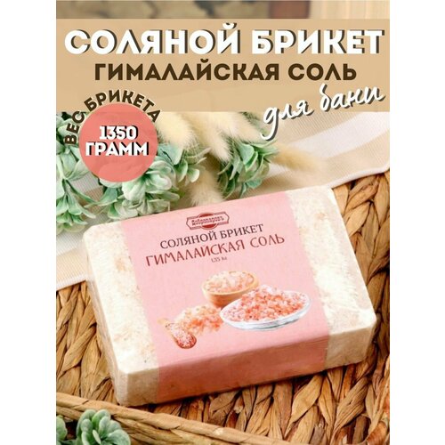 ���� ������� ������ ��� ���� � �����, ������ �� 459 ���