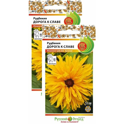 ���� �������� ������ � ����� (30 �����), 2 ������, ������ �� 239 ���