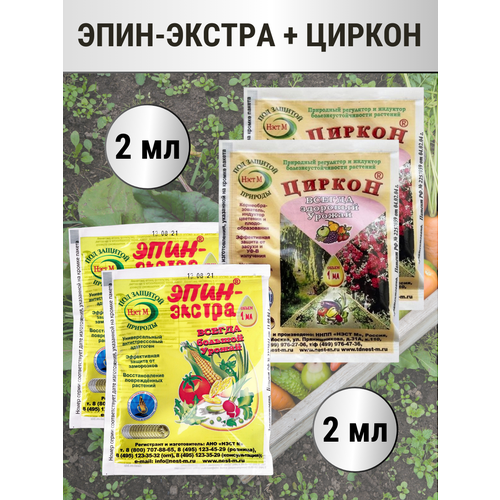 ���� ����-������ 1 �� + ������ � ������������� 1 ��, �������� 2+2, ������ �� 305 ���