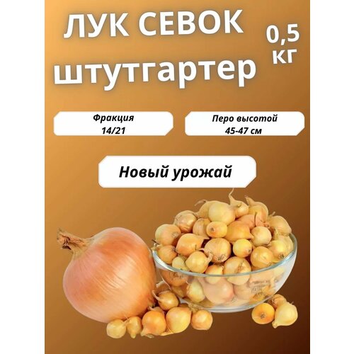 ���� ��� ����� ���������� ����� 0.5 ��, ������ �� 250 ���