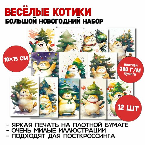 ���� ���������� ������: �����-����� �� 12 �������� ��� �������������� ������������, �������������, � �������� ����������, ������ �� 1440 ���