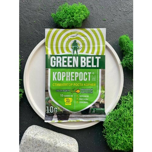     , ,  , .  Green Belt, 10.,   172 