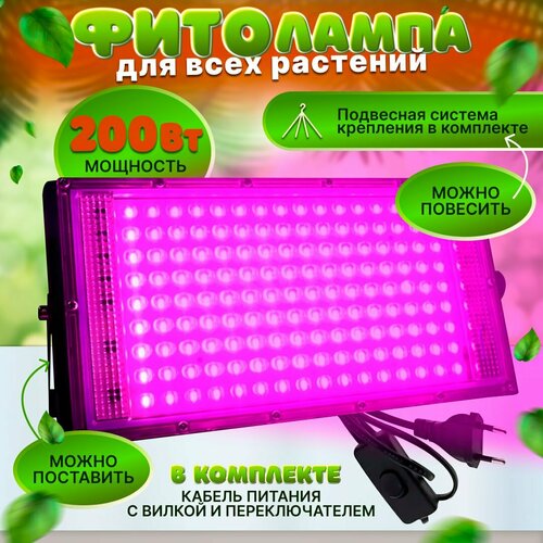 ���� ��������� ��� ������� 200 ��, ������ � �����������, �������� ������������, ������ ������, � ��������� � ����������, ������ �� 1900 ���