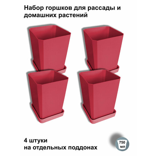 ���� ������ ��� ������� � ������, 4 ����� �� ��������� ��������, ����������� ����, ������ �� 495 ���