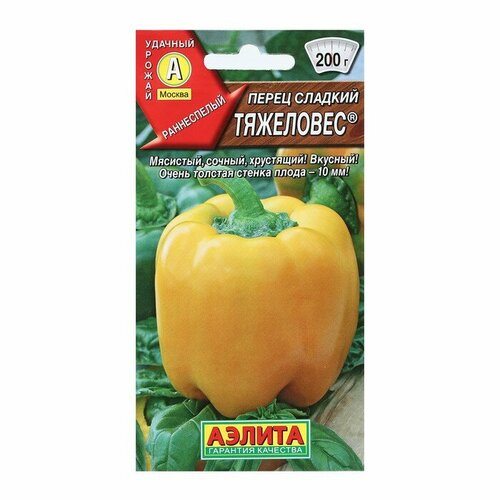 ���� ������ ����� ������� 