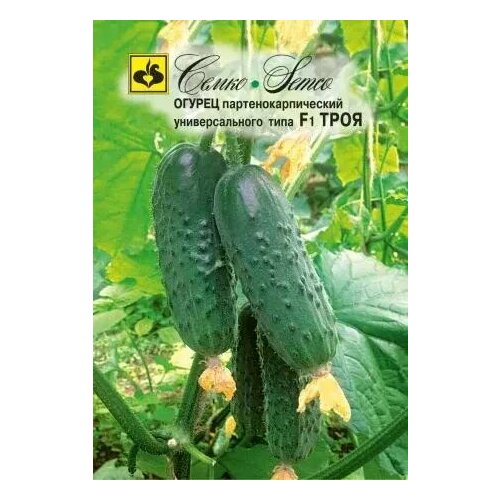 ���� ������ ���� F1, ������ ����� 10��, ������ �� 122 ���