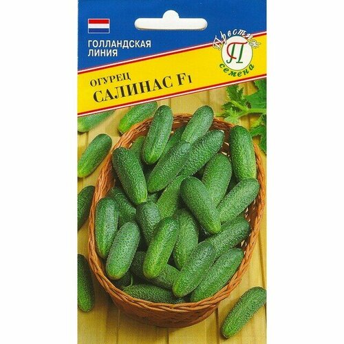 ���� ������ ������ ������� F1 5 �� (�����) (���������) (�������), ������ �� 91 ���