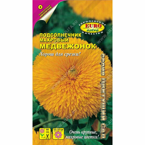 ���� ������ ������������� ������ 