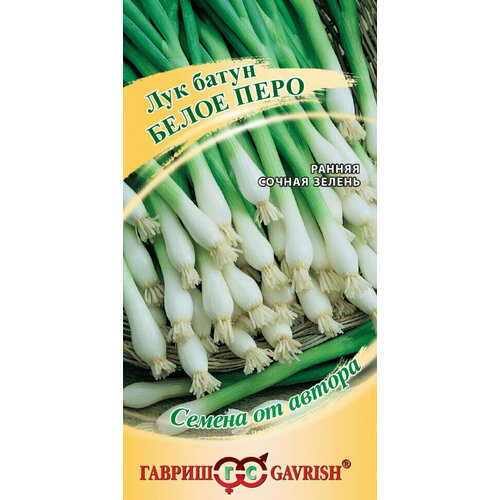 ���� ������ ��� ����� ����� ����, 0,5�, ������, ������ �� ������, 10 ��������, ������ �� 597 ���