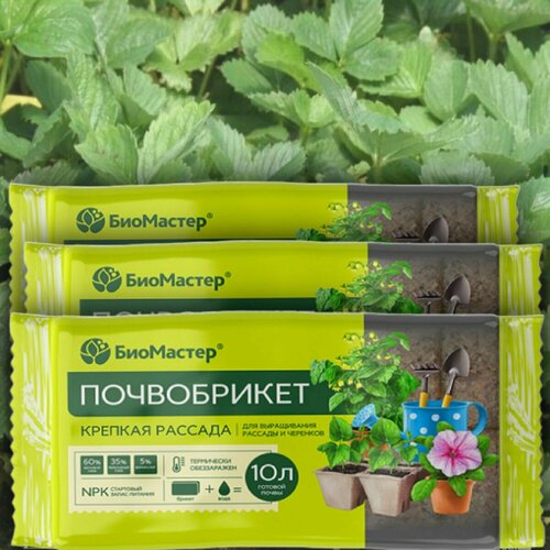 ���� �����������/����� ��� ����������� ������� / ���������� �������� ������� ������� 30� , 3 �������� * 10�, ������ �� 674 ���