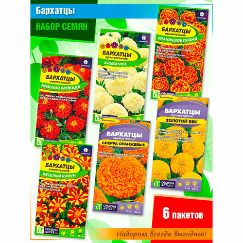 ���� ����� ������� ������ ��������� ������������ � ����������� �� ������ ����� (6 �����), ������ �� 365 ���