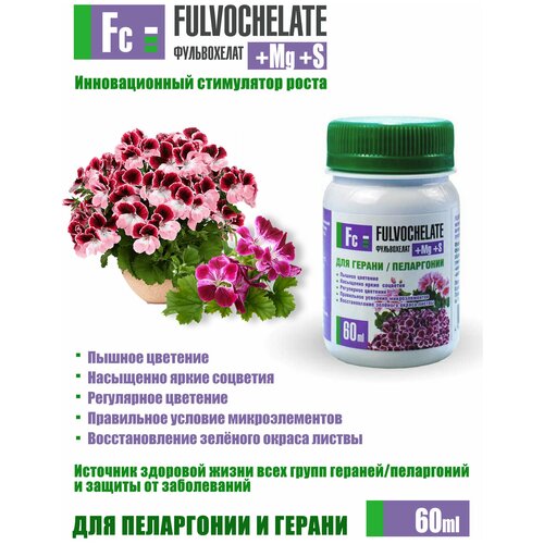 ���� ����������� + �g + S ��� ���������� � ������ 60��, ������ �� 390 ���