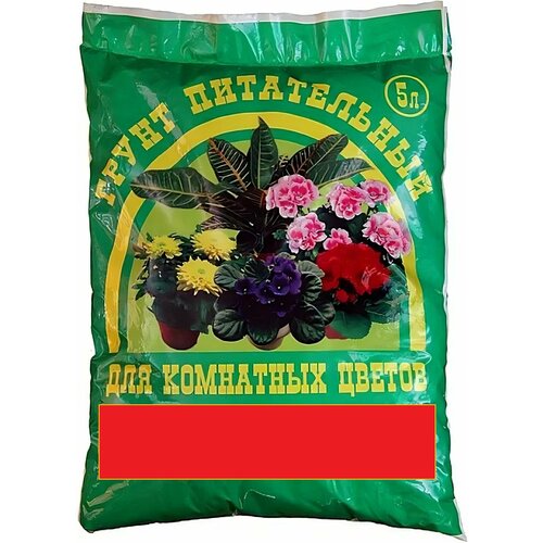 ���� ���������� ����������� 5 �. ������ ����������� ����� ��� ��������� ��������, ������ �������� �������� ������ � ������������ ����������, ������ �� 570 ���