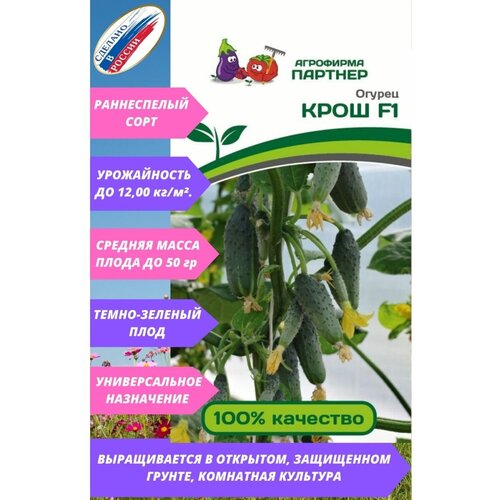 ���� ������ ������ 