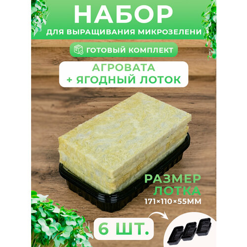 ���� �������� �������� + ����� ��� ����������� ����������� 6 ��., ������ �� 349 ���