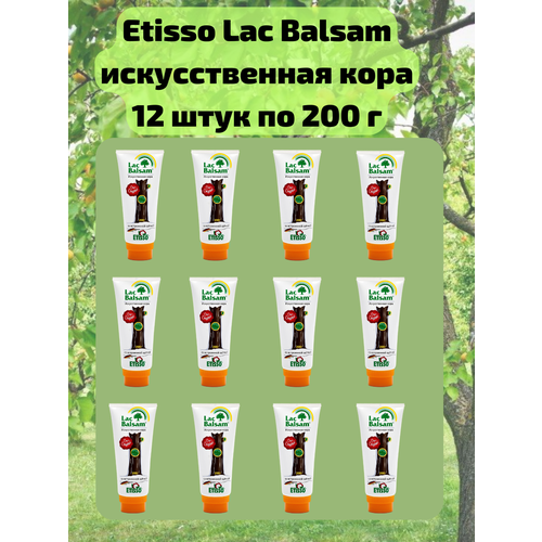   12 .         ,   , 200 Etisso / Lac Balsam,   10200 
