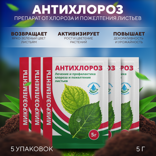 ���� �������� �� ������� � ���������� ������� ����������, ��������� 5 � 5 ��, ������ �� 239 ���