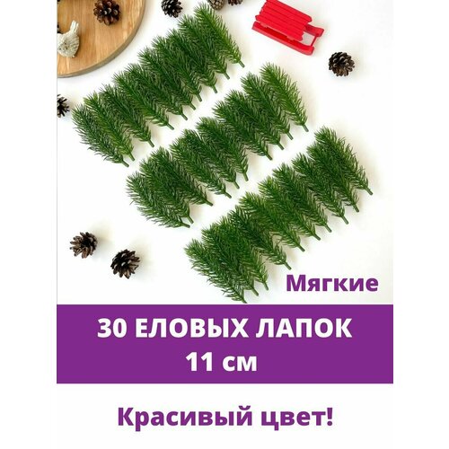 ���� ������ �����, ������ ����� �������������, ����� ������ 11 ��, 30 ����, ������ �� 517 ���