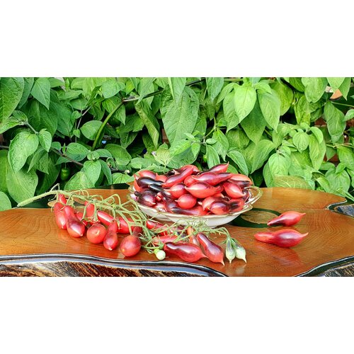 ���� ������ ������ ������� ������� ���� (Kumquat Pink Opal) / Seeds And Goods / � �������� zip-lock ��� ���������� 10 �����, ������ �� 269 ���