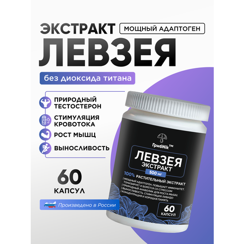 ���� �������� ������ ������� ������ ��������� 60�� 500 ��, ������ �� 770 ���