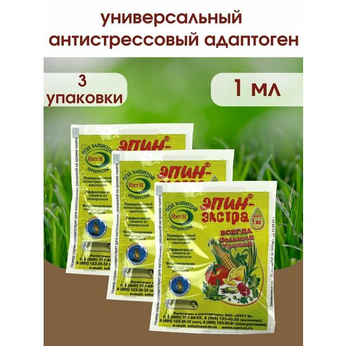 ���� ����- ������ ��������� ����� � �������� ��������, ��������� ������������ ���� �. 1 ������ 1 ��. 3 ��������, ������ �� 279 ���