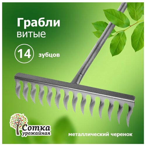 ���� ������ ������� 14 ����� ����� ��������� ����� 