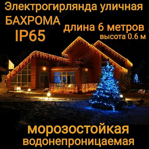 ���� ��������������� ������� ������� ������������ ������-����� 6 ������, ������ �� 1650 ���