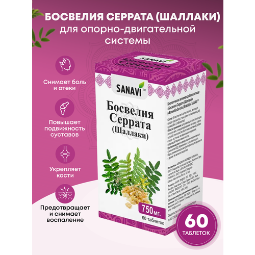 ���� �������� �������, 60 ���, ������ �� 728 ���