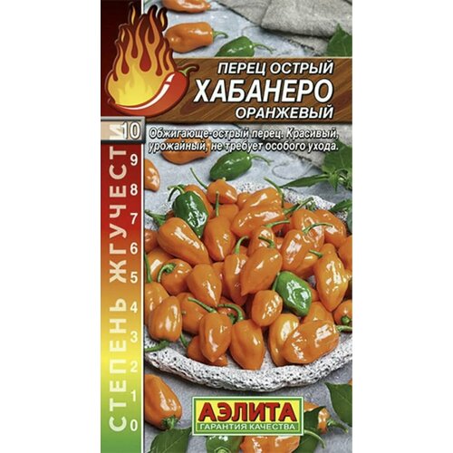 ���� ����� ������ �������� ���������, 1 �����, ������, ������ 20��, ��� ������� � �����������, ������ �� 44 ���