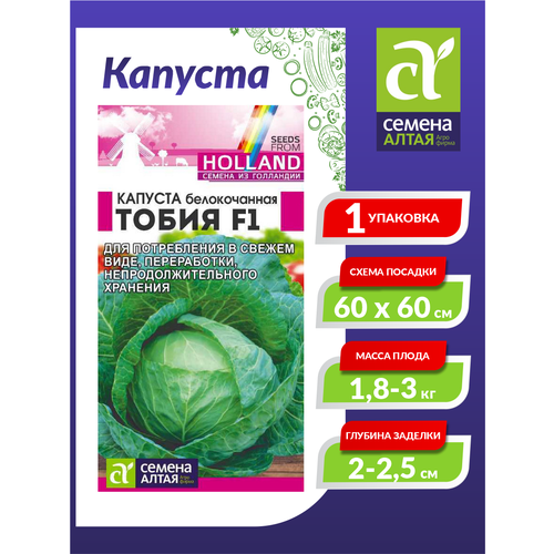 ���� ������ ������� ������������ ����� F1 ������������ 15 ��./��., ������ �� 94 ���