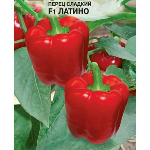 ���� ������������� ������ ����� �������� ������ F1, ������ �� 127 ���