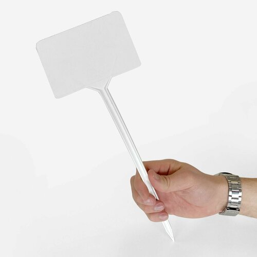 ���� �������� ������� ��� �������� � �������, ����� ������ 5 ����, 400��, ������ �� 279 ���