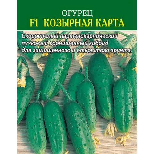 ���� ������ ������ F1 �������� ����� 10 ��., ������ �� 151 ���