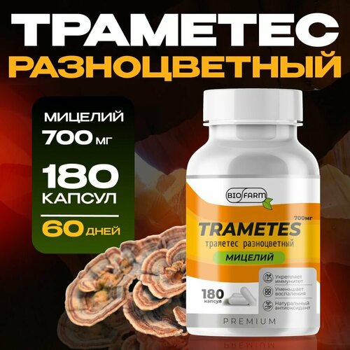 ���� �������� ������������ ������� 700��, �������� ����, ������ �� 842 ���