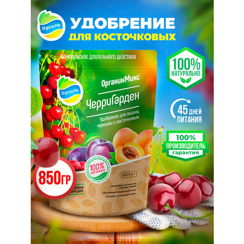 ���� ��������� ��� �����, �����, ������� ����������� �����������, ������ �� 485 ���