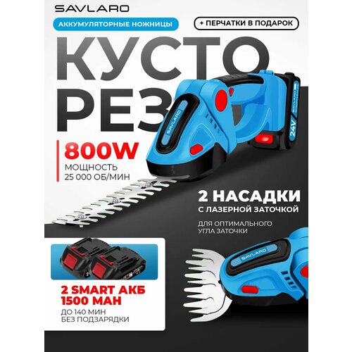 ���� �������� Savlaro, ��������������, �������, 2 ������, 800 ��, 2 ���, ������ �� 4999 ���