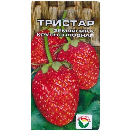 ���� ������ ��������� (��������) �������, ������������ �������������, ��������� ���, 10 ��., ������ �� 259 ���