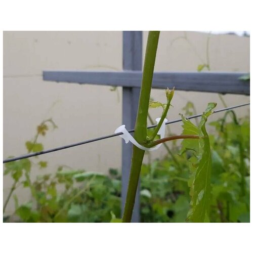 ���� ������, ��������, �������� ��� ��������� � ������ �������� ���������, ������������, 300 ��., ������ �� 850 ���