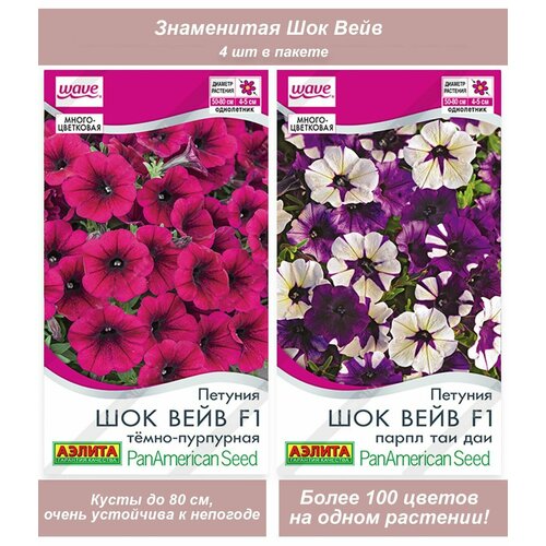 ���� ������ ������ ��������� �������������� �������������� ������� ��� ����, ������ �� 564 ���