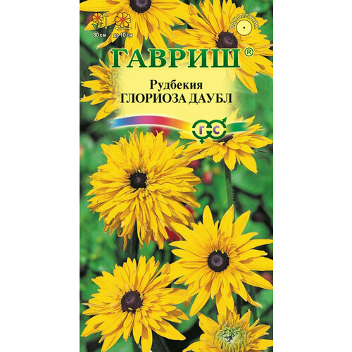 ���� ������ �������� �������� �����, 0,05�, ������, ��������� ���������, 10 ��������, ������ �� 238 ���