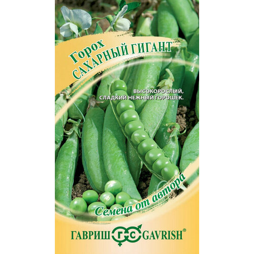 ���� ������ ����� �������� ������, 10,0�, ������, ������ �� ������, 10 ��������, ������ �� 48 ���