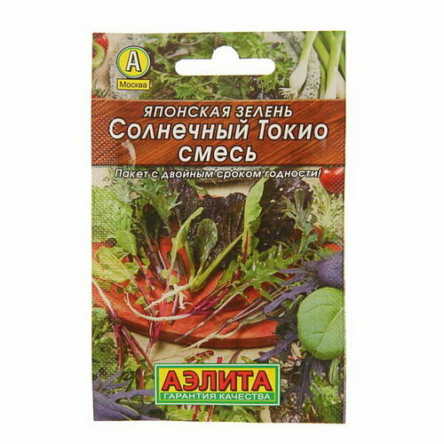 ���� ������ �������� ������ 