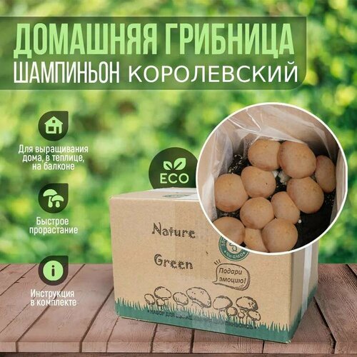 ���� ������ / �������� �������� ����������� / ����������� ���������, ������ �� 400 ���