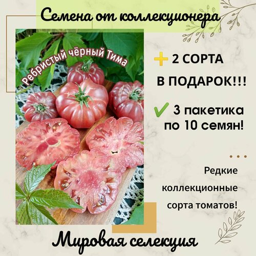 ���� ����� ��������� ������ ����, ������������ ��������, ������������� ����, ������ �� 287 ���