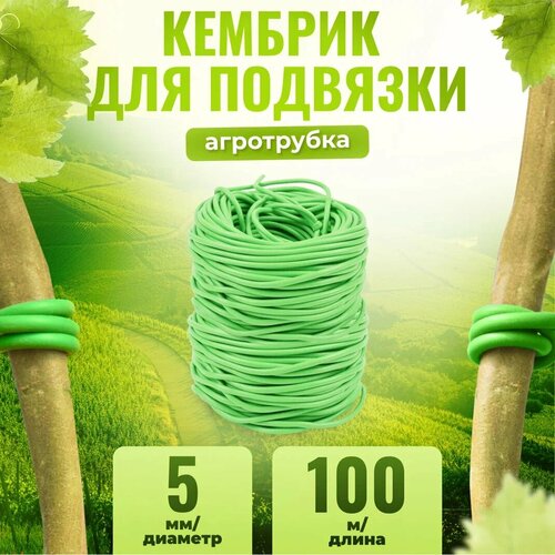 ���� ������� - ���������� ��� ��� �������� ���������, ������� � ������ �������� ������� 5�� � ����� 100�, ������ �� 1519 ���