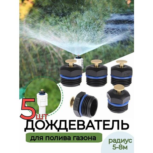 ���� ����������� �������� 5 ��., ������ �� 595 ���